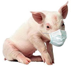 Свинячий грип