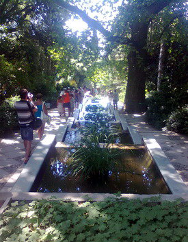 Нікітінський ботанічний сад