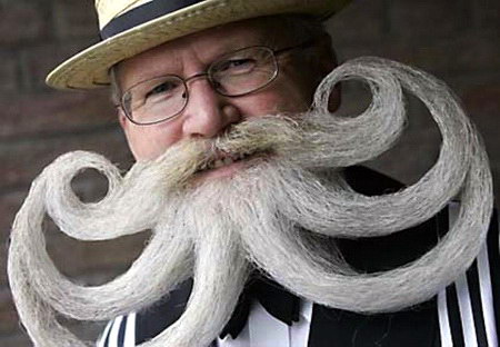 No shave november