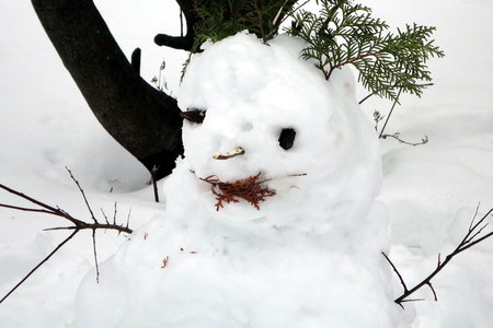 український сніговик