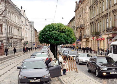 Озеленення вулиці Городоцької