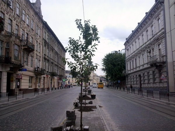 Дерева на Городоцькій