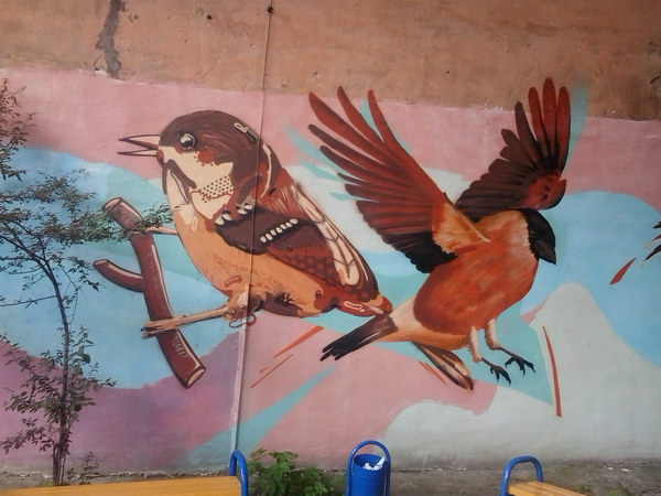 Графіті з птахами