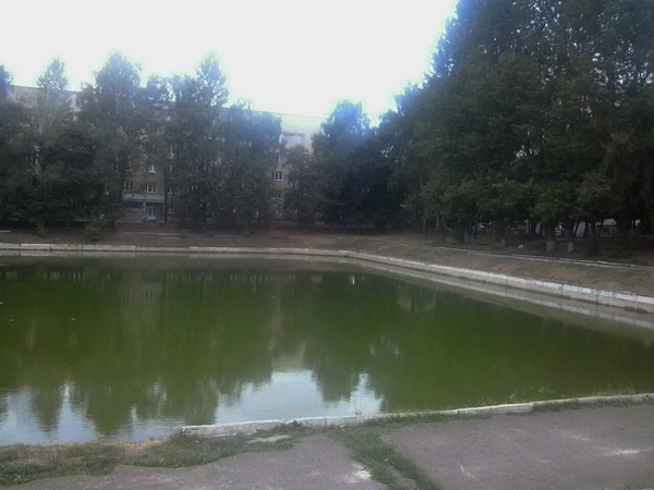 Озеро біля ветеринарного університету