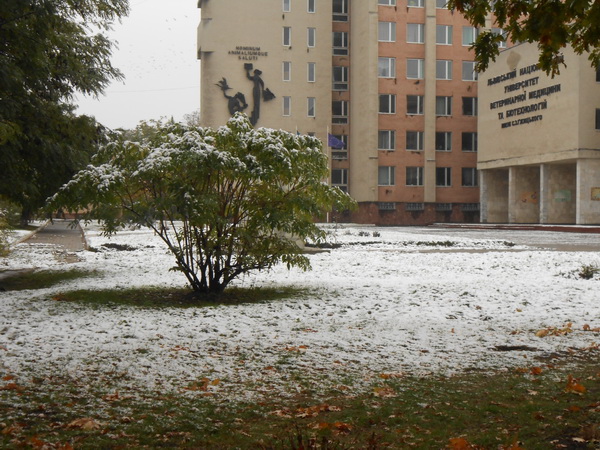 Сніг у Львові-2015