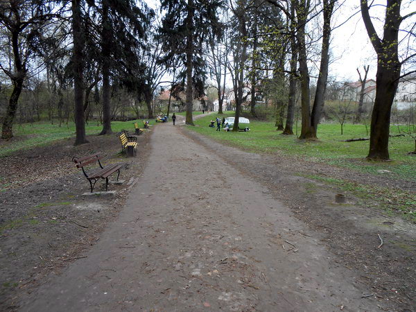 Кліщі у парках Львова