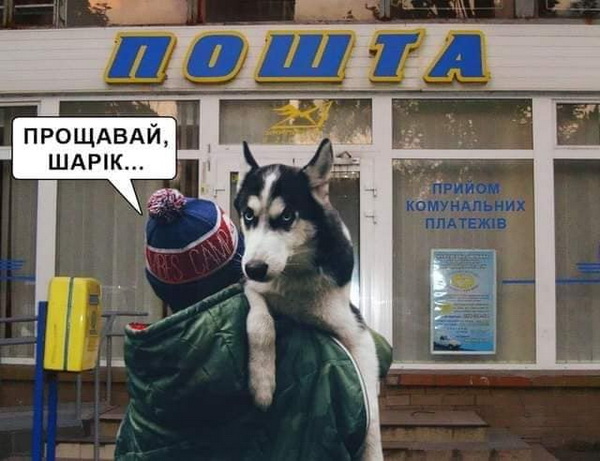 Собака на Укрпошті