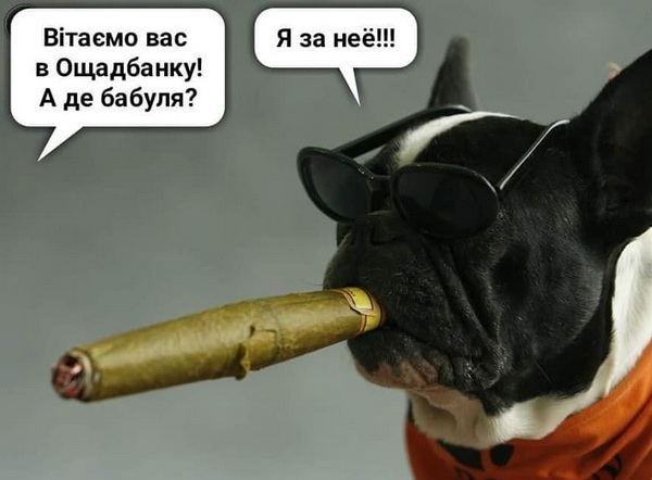 Пес з сигарою