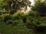 Ботанічний сад лісотехнічного університету