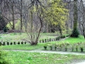 Львівський ботанічний сад