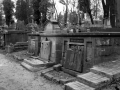 lЛичаківський цвинтар
