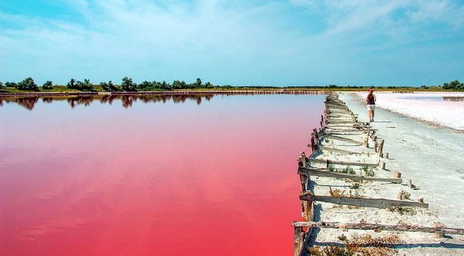 рожеве озеро
