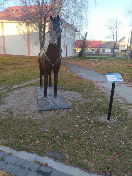 Коні в Славуті