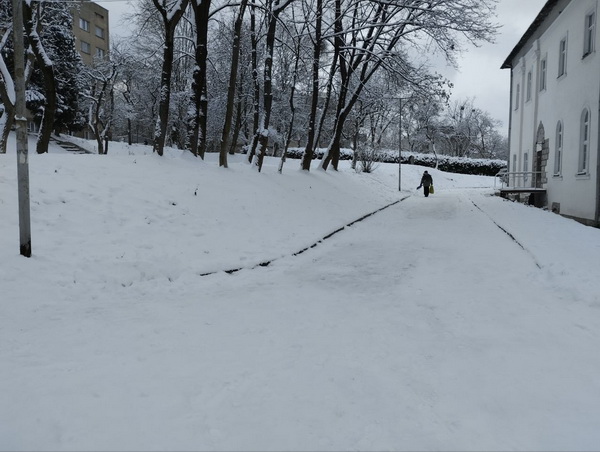 Снігопад у Львові