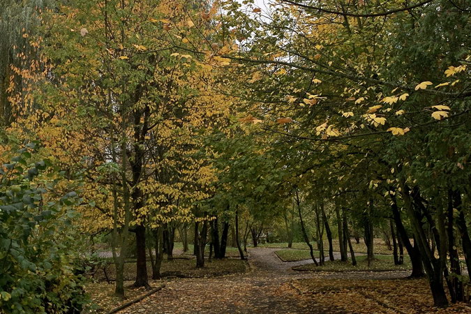 Погода у Львові в жовтні