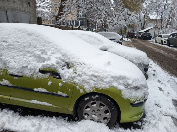 Зима 2025 Зима 2025