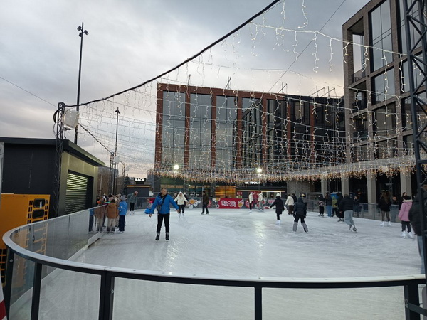 Ковзанка Стрийська-Наукова