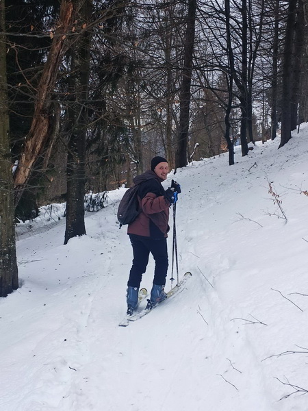 Катання лісом